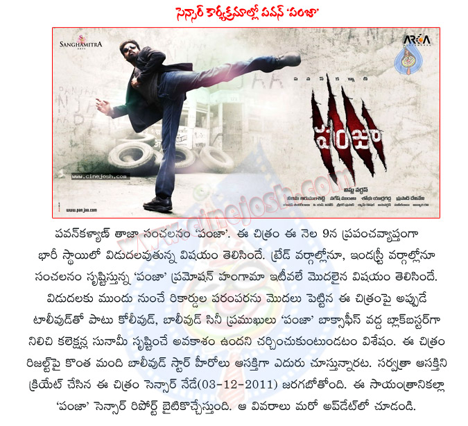 panjaa,panjaa censor board report,panjaa censor report,pawan kalyan panjaa,panjaa telugu movie,bollywood and kollywood heros eyes in panjaa,powerstar pawan kalyan,pavan panjaa,pavan kalyan panjaa,panjaa movie details,panjaa movie release details  panjaa, panjaa censor board report, panjaa censor report, pawan kalyan panjaa, panjaa telugu movie, bollywood and kollywood heros eyes in panjaa, powerstar pawan kalyan, pavan panjaa, pavan kalyan panjaa, panjaa movie details, panjaa movie release details